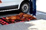 Un �ltimo descanso
