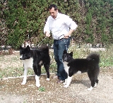 Paseito