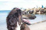 el mar