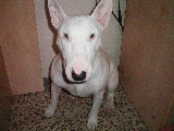 yula escondida!!