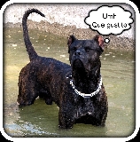 QUE BIEN SE ESTA AQUI