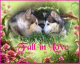 Amor a primera vista