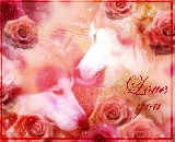 Ellos tambi�n sienten