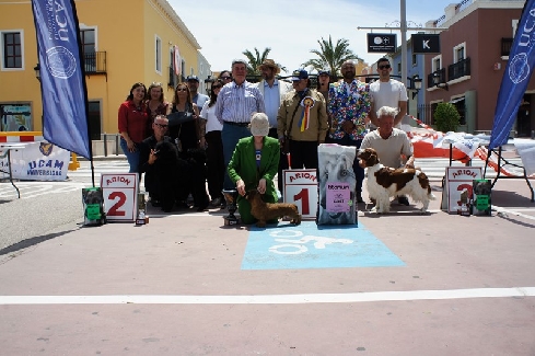 Canina Murciana Juez: 