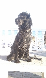 UN DIA EN LA PLAYA