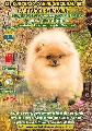 Concurso: IX CONCURSO NACIONAL CANINO DE CARAVACA