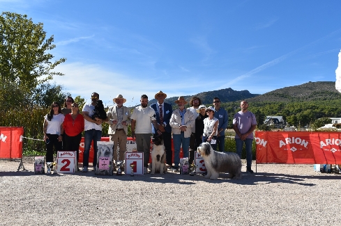 Canina Murciana Juez: 