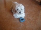 No tengo patas... xd