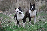 arai y mia observando 