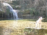 Aron cascada