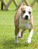 Cindy en movimiento