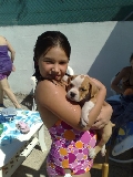 Perros potencialmente cari�osos