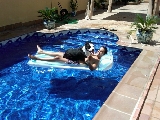 Roy...tomando el sol en la piscina