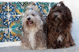 Jengibre y Jimena con 14 y 16 meses