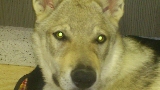 su mirada2